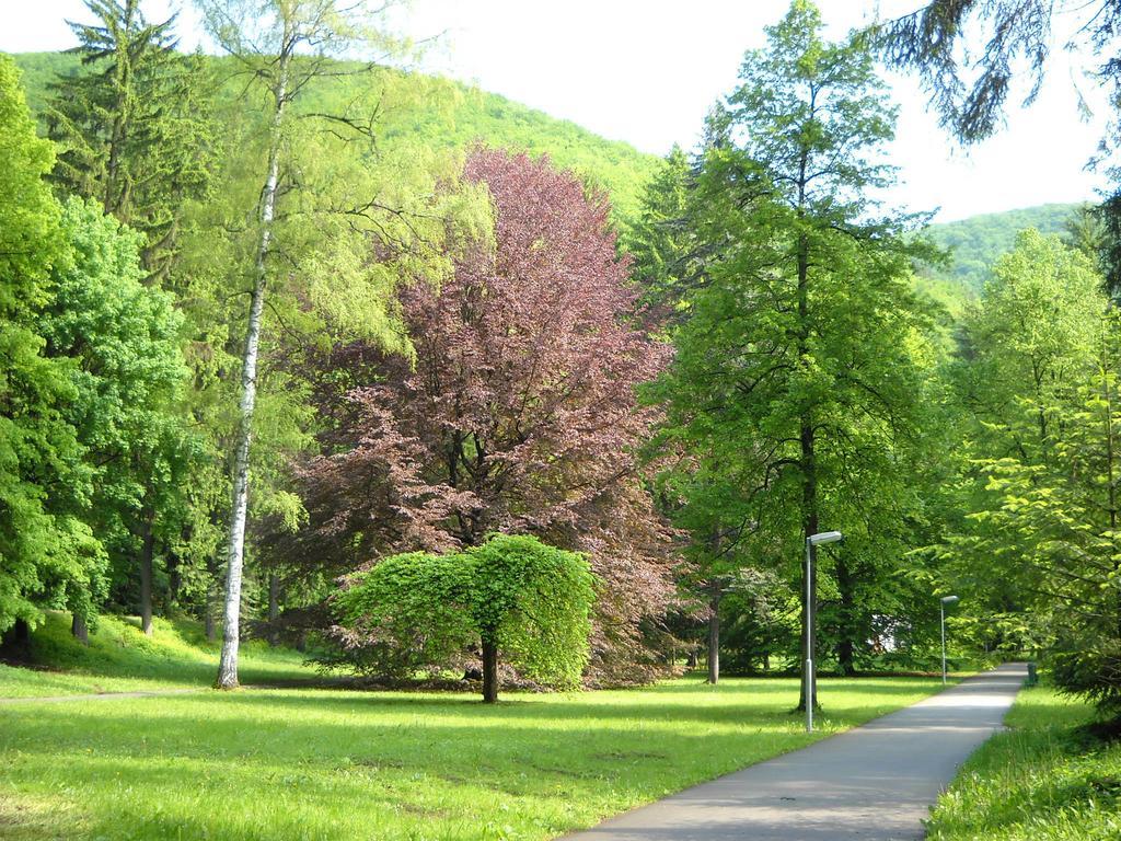 Hotel Skalka Rajecké Teplice Buitenkant foto